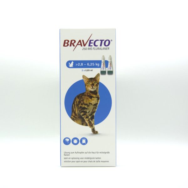 Bravecto Kat (>2,8 - 6,25 kg) 2 Pipetten